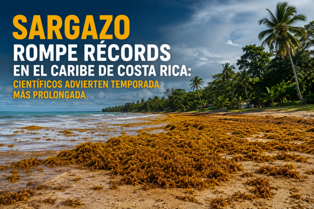 Acumulación masiva de sargazo en una playa del Caribe de Costa Rica durante la temporada récord de 2026.